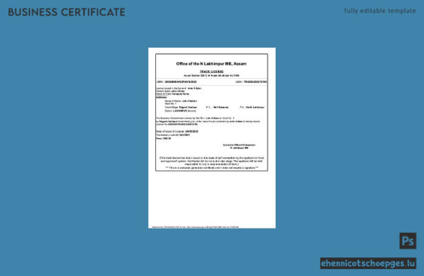 Handelslizenz Lakhimpur, Indien – Beispielansicht (Word und PDF)